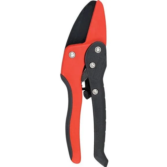 bigfrogsupply1475357