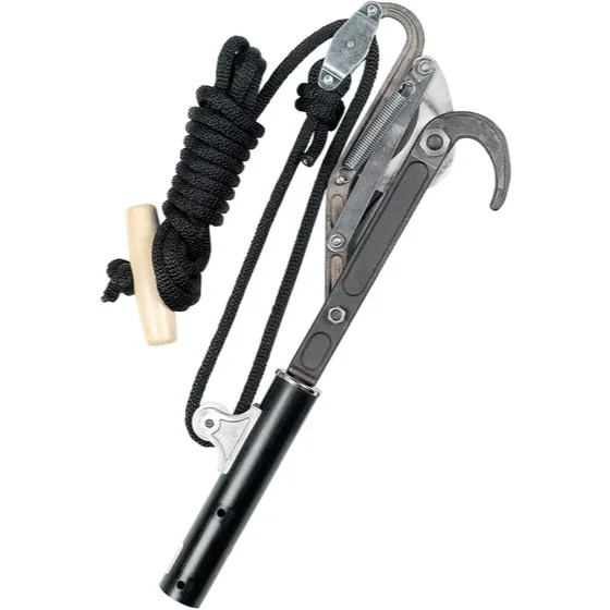 bigfrogsupply1623277