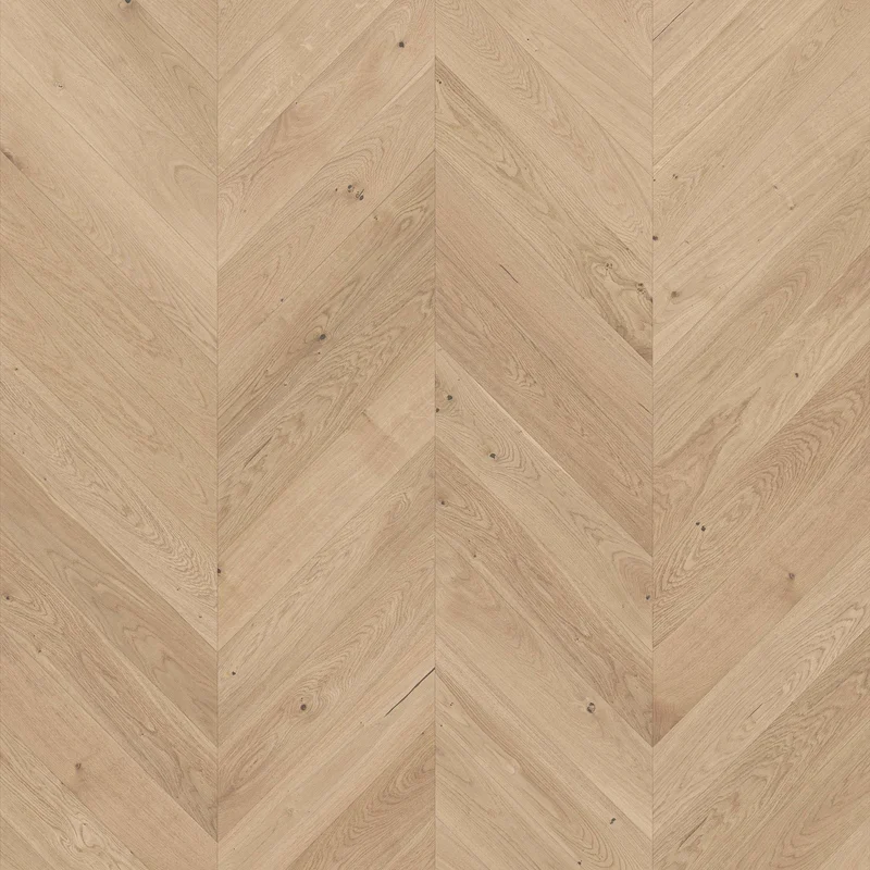flooranddecor-1831655