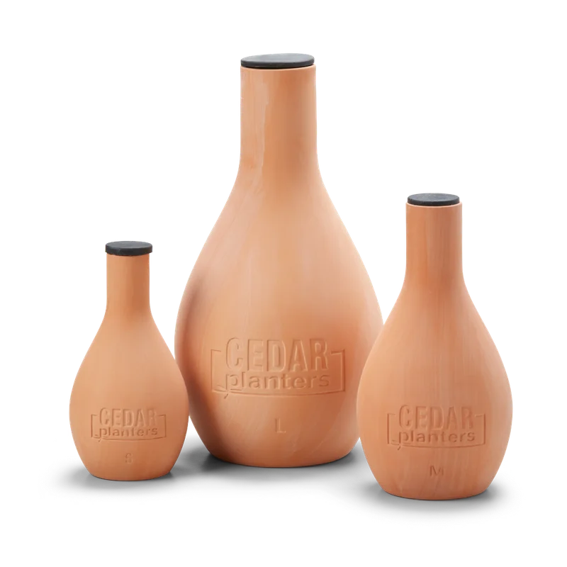 gobekusa31947935