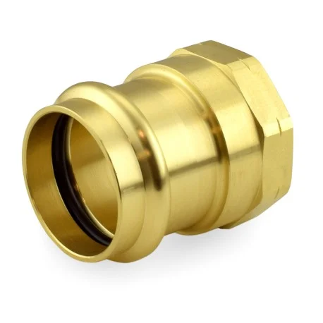 pexuniverse-1695403